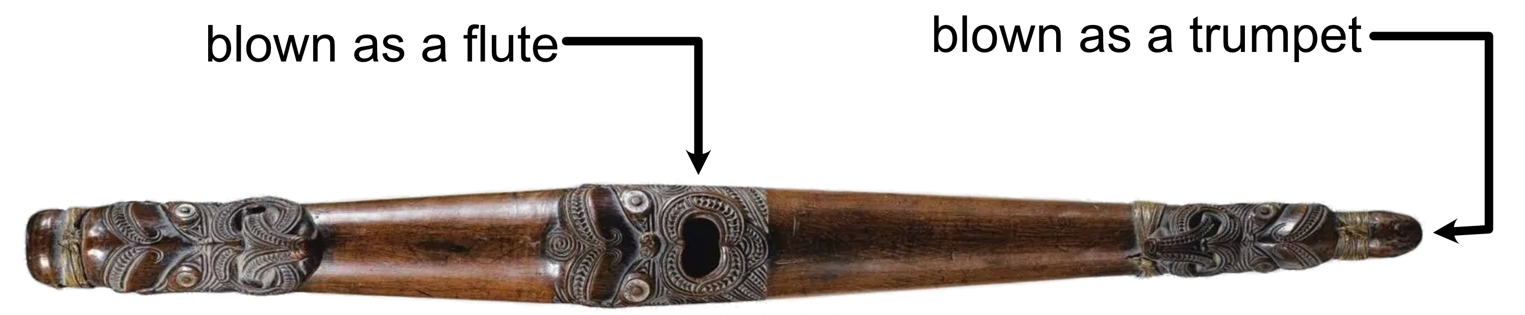 When the Brass is Gender Fluid